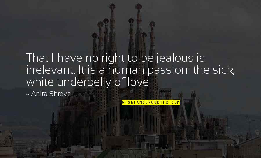 Jealous Of Relationships Quotes By Anita Shreve: That I have no right to be jealous