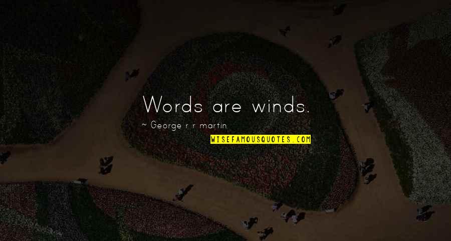 Jealous Relatives Quotes By George R R Martin: Words are winds.