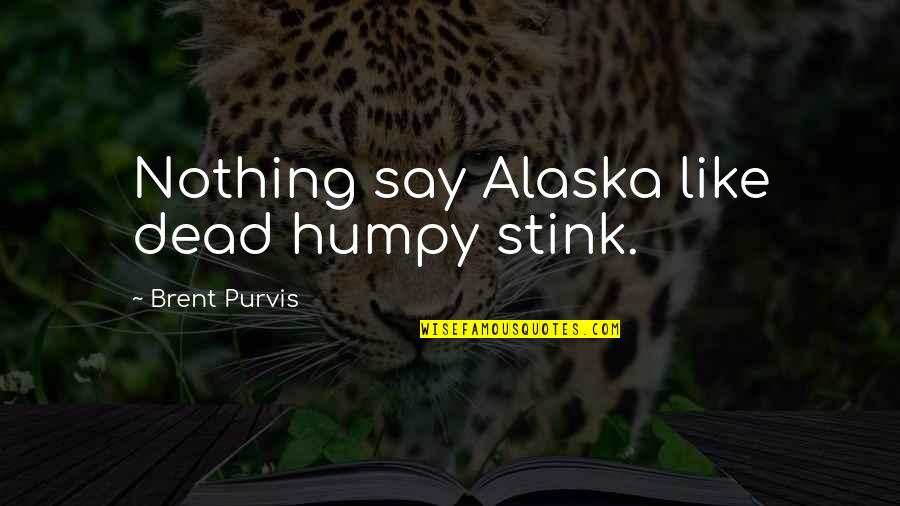 Jealous Stalker Quotes By Brent Purvis: Nothing say Alaska like dead humpy stink.