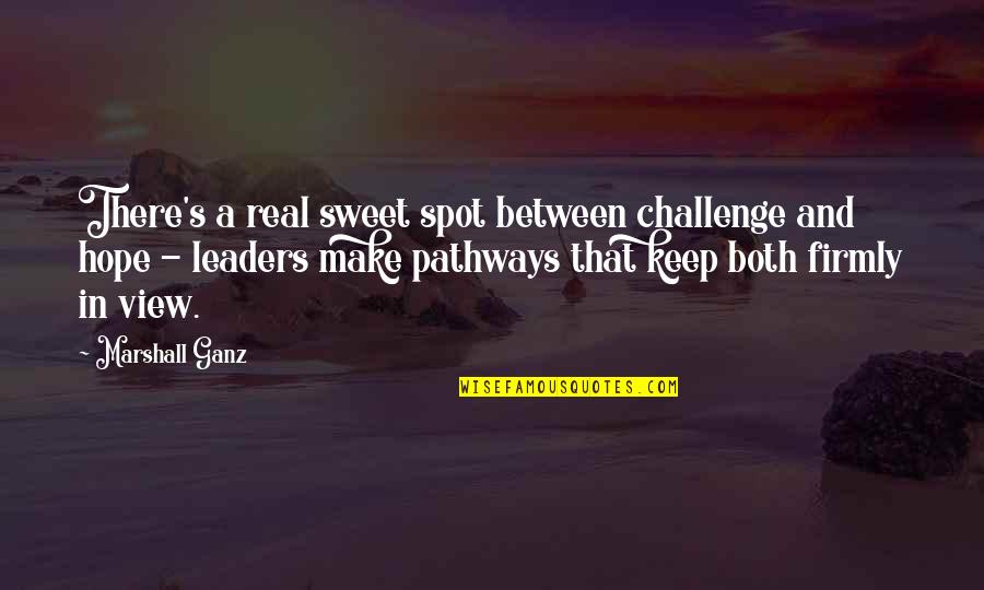 Jealous Stalker Quotes By Marshall Ganz: There's a real sweet spot between challenge and