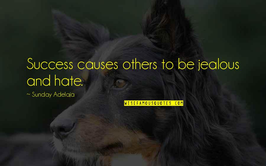 Jealousy And Hate Quotes By Sunday Adelaja: Success causes others to be jealous and hate.