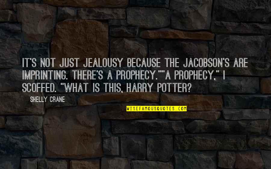 Jealousy Quotes By Shelly Crane: It's not just jealousy because the Jacobson's are