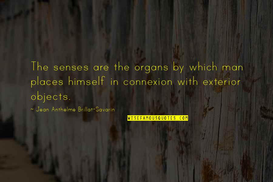 Jean Anthelme Brillat Savarin Quotes By Jean Anthelme Brillat-Savarin: The senses are the organs by which man
