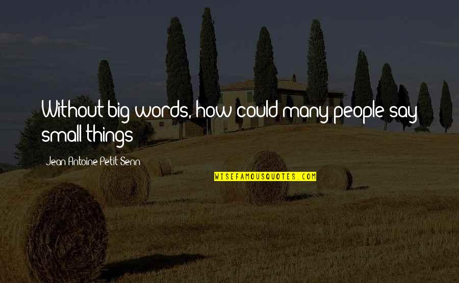 Jean Antoine Petit-senn Quotes By Jean Antoine Petit-Senn: Without big words, how could many people say