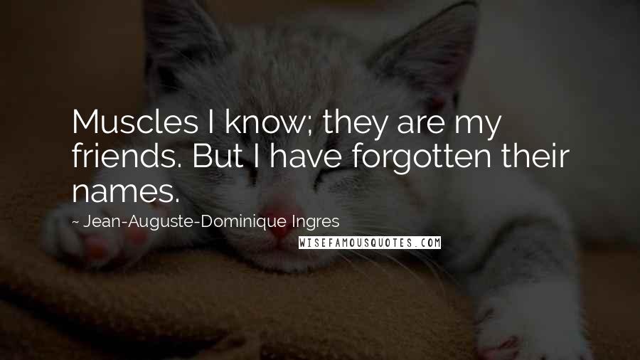 Jean-Auguste-Dominique Ingres quotes: Muscles I know; they are my friends. But I have forgotten their names.