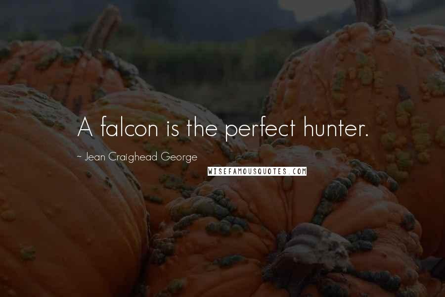 Jean Craighead George quotes: A falcon is the perfect hunter.