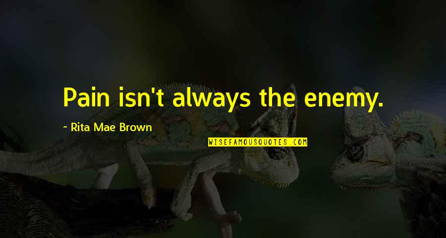 Jean Fritz Quotes By Rita Mae Brown: Pain isn't always the enemy.