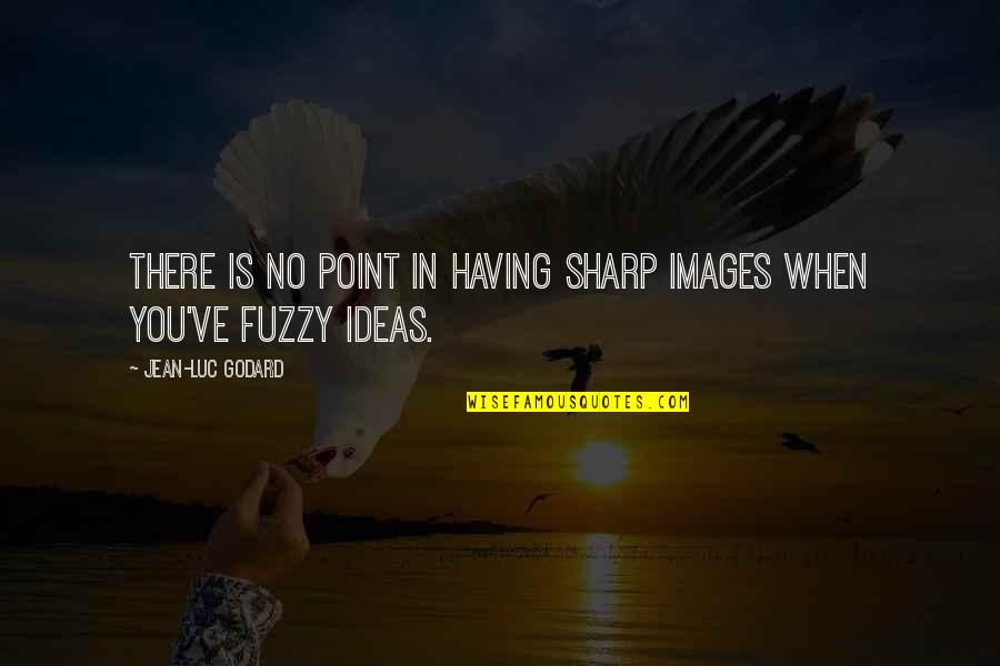 Jean Godard Quotes By Jean-Luc Godard: There is no point in having sharp images Jean Godard Quotes By Jean-Luc Godard: There is no point in having sharp images