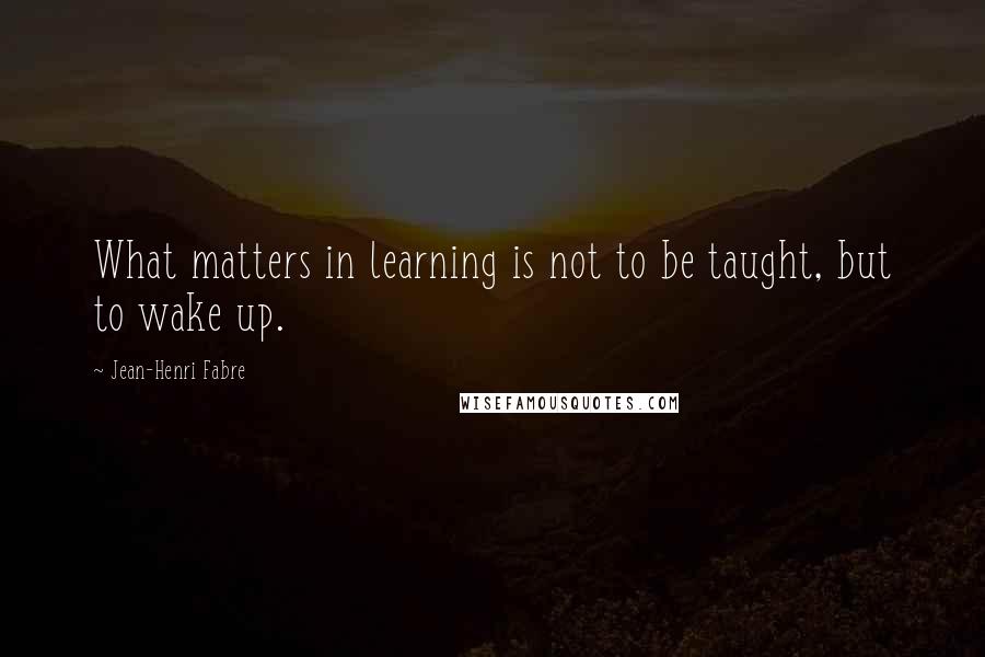 Jean-Henri Fabre quotes: What matters in learning is not to be taught, but to wake up.