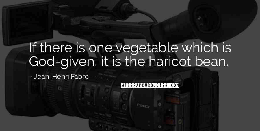Jean-Henri Fabre quotes: If there is one vegetable which is God-given, it is the haricot bean.