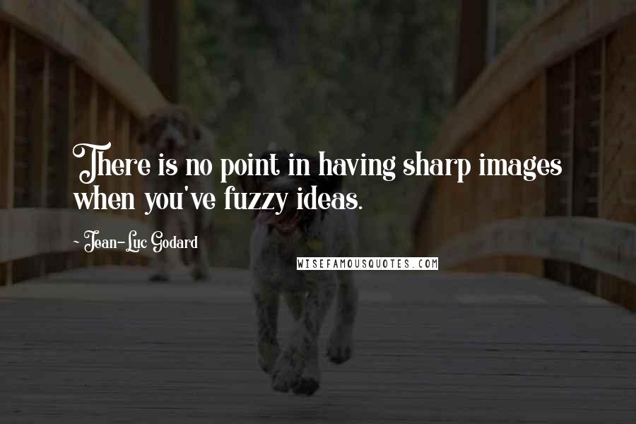 Jean-Luc Godard quotes: There is no point in having sharp images when you've fuzzy ideas.