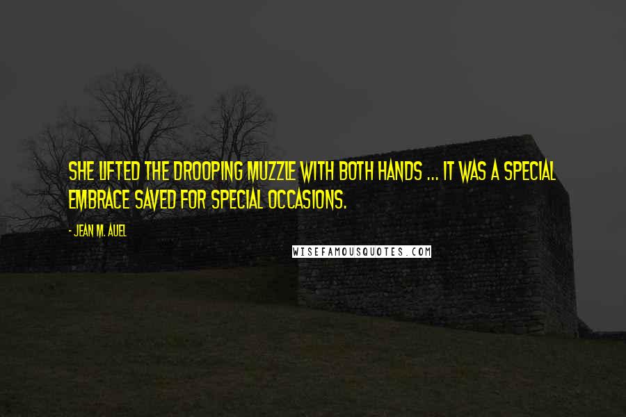 Jean M. Auel quotes: She lifted the drooping muzzle with both hands ... It was a special embrace saved for special occasions.