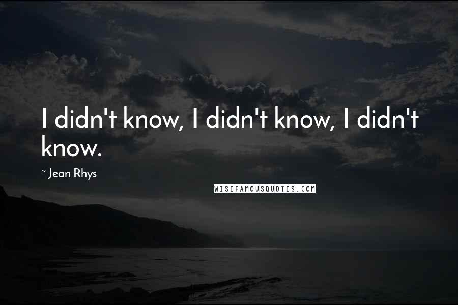 Jean Rhys quotes: I didn't know, I didn't know, I didn't know.