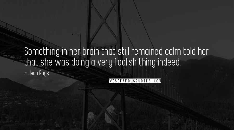 Jean Rhys quotes: Something in her brain that still remained calm told her that she was doing a very foolish thing indeed.