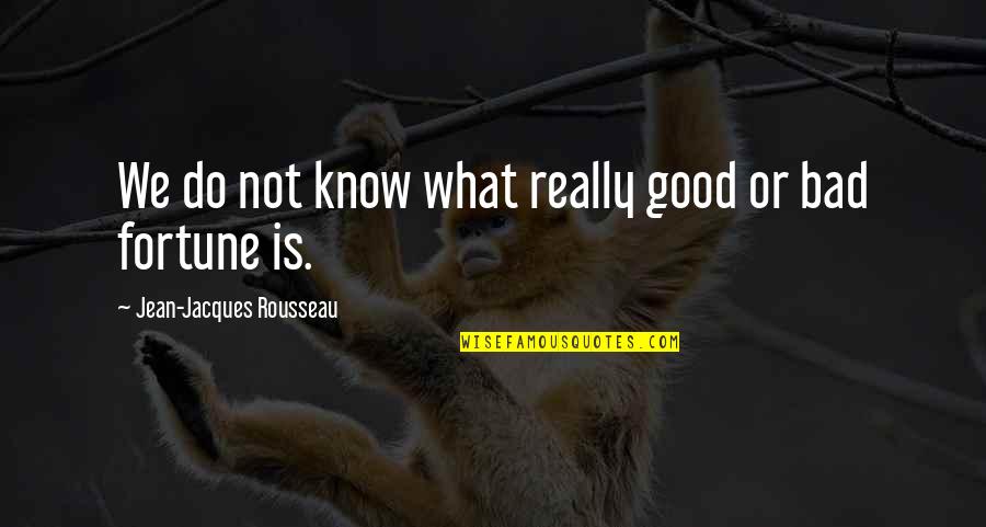 Jean Rousseau Quotes By Jean-Jacques Rousseau: We do not know what really good or