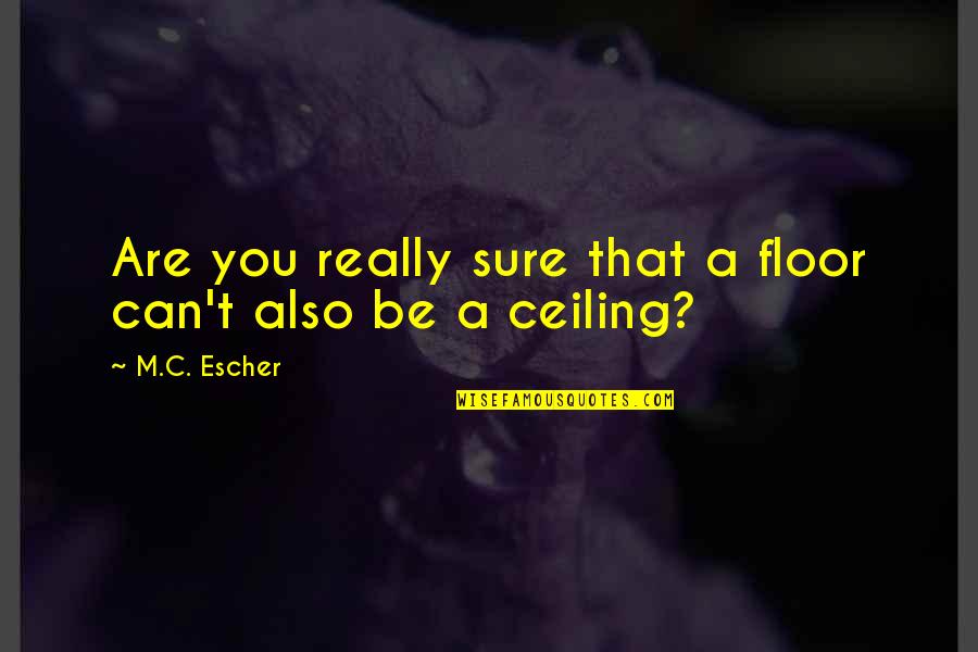 Jean Shinoda Bolen Quotes By M.C. Escher: Are you really sure that a floor can't