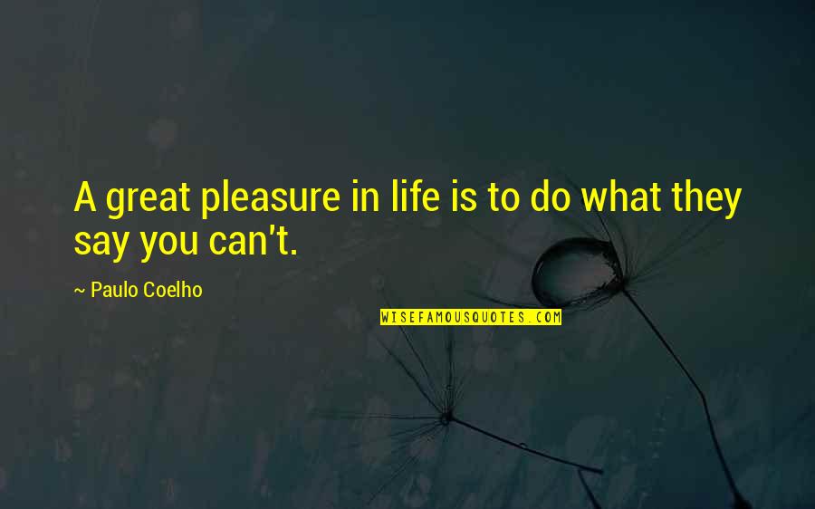 Jeanettes Cleaners Quotes By Paulo Coelho: A great pleasure in life is to do