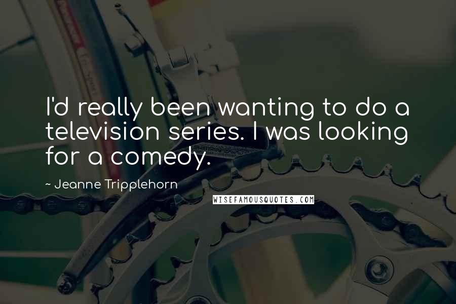 Jeanne Tripplehorn quotes: I'd really been wanting to do a television series. I was looking for a comedy.