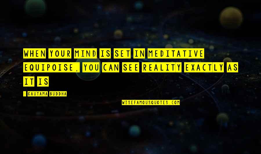 Jeannelle Sousa Quotes By Gautama Buddha: When your mind is set in meditative equipoise,