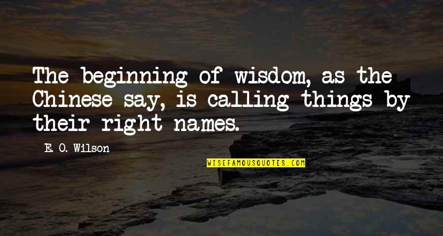 Jeckel Brothers Quotes By E. O. Wilson: The beginning of wisdom, as the Chinese say,