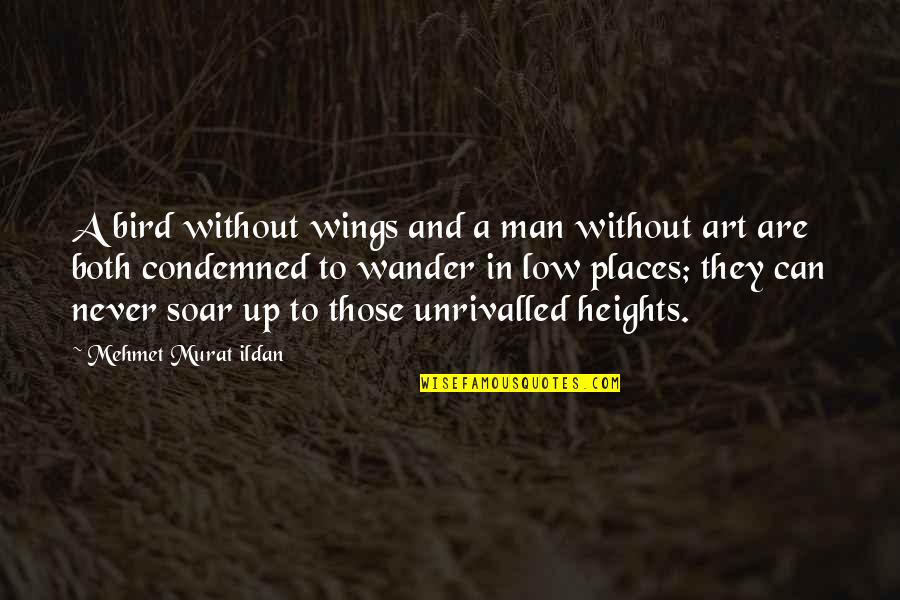 Jedemo Kaktus Quotes By Mehmet Murat Ildan: A bird without wings and a man without