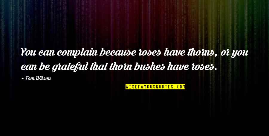 Jedi Sayings Quotes By Tom Wilson: You can complain because roses have thorns, or