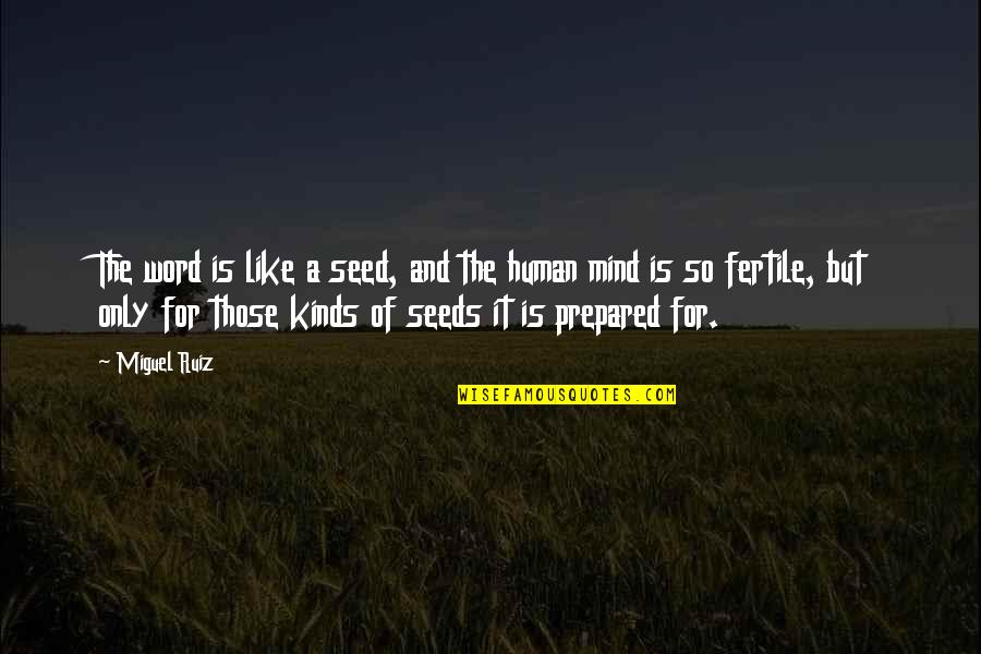 Jee Quotes By Miguel Ruiz: The word is like a seed, and the