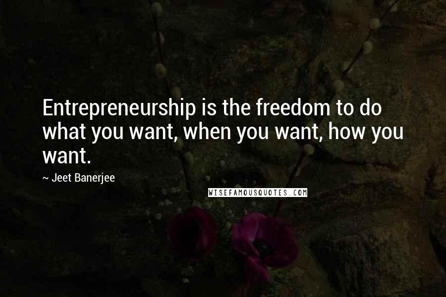 Jeet Banerjee quotes: Entrepreneurship is the freedom to do what you want, when you want, how you want.