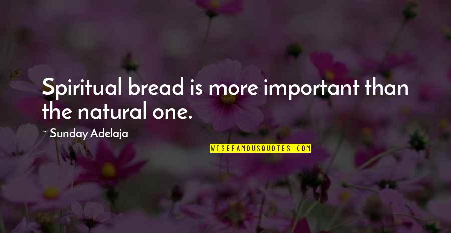 Jef Aerosol Quotes By Sunday Adelaja: Spiritual bread is more important than the natural