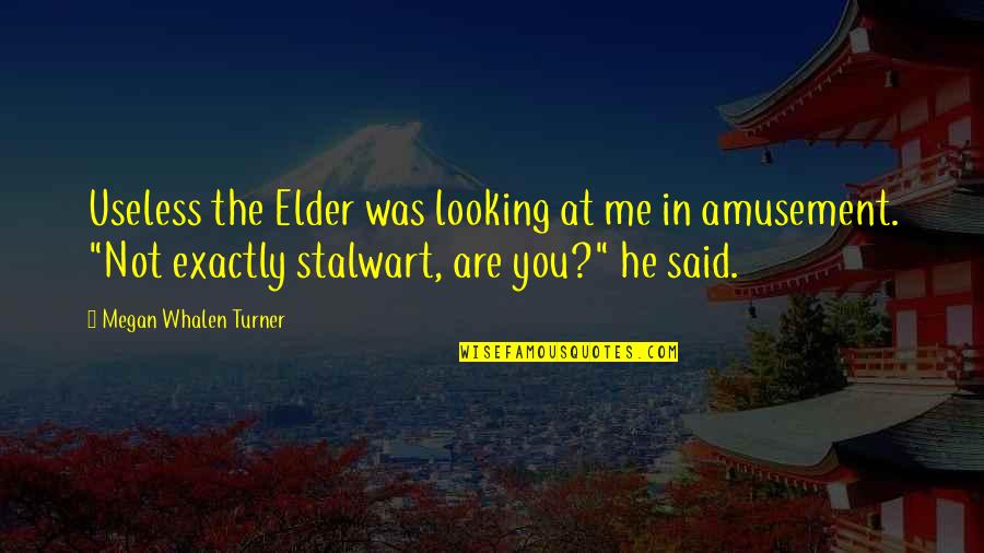 Jeff Fort Quotes By Megan Whalen Turner: Useless the Elder was looking at me in