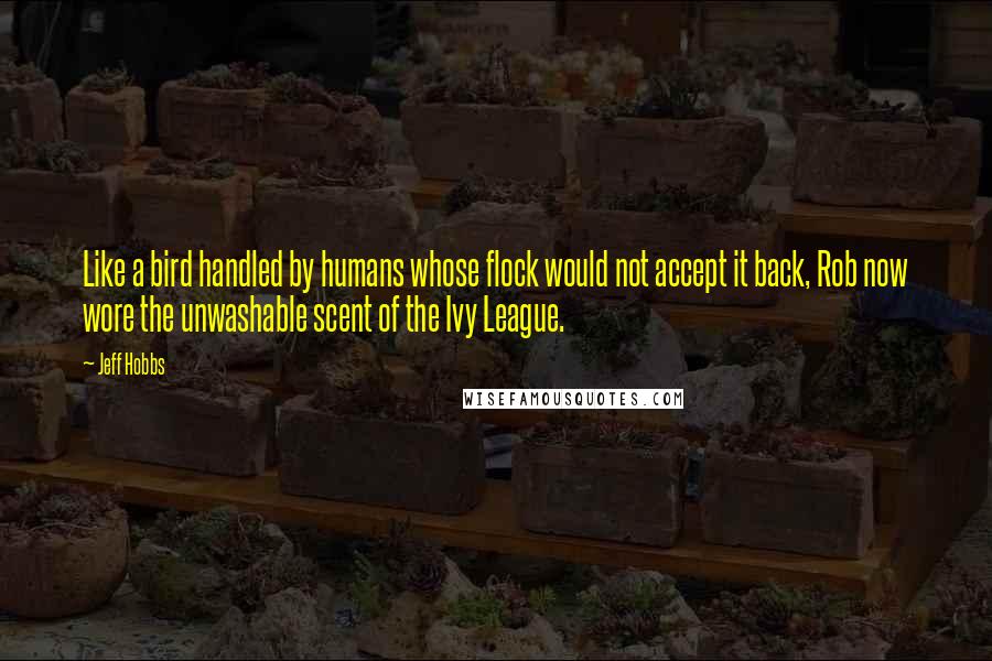 Jeff Hobbs quotes: Like a bird handled by humans whose flock would not accept it back, Rob now wore the unwashable scent of the Ivy League.