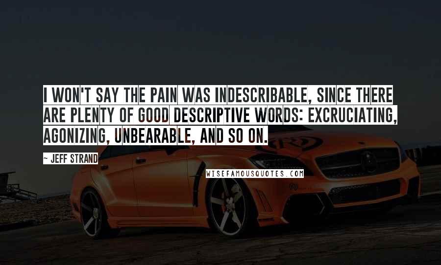 Jeff Strand quotes: I won't say the pain was indescribable, since there are plenty of good descriptive words: excruciating, agonizing, unbearable, and so on.