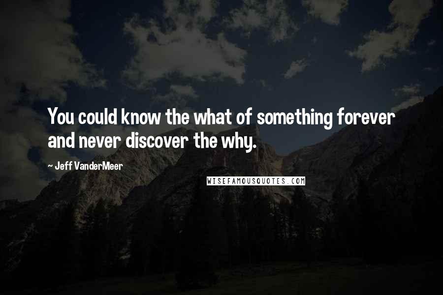 Jeff VanderMeer quotes: You could know the what of something forever and never discover the why.