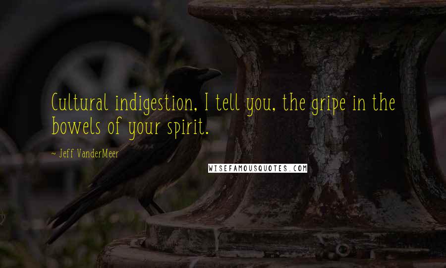 Jeff VanderMeer quotes: Cultural indigestion, I tell you, the gripe in the bowels of your spirit.