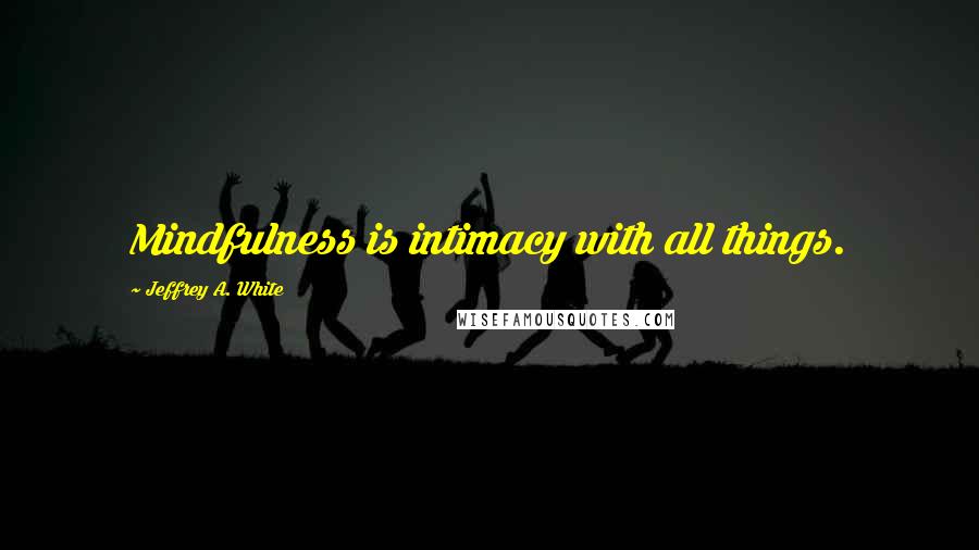 Jeffrey A. White quotes: Mindfulness is intimacy with all things.