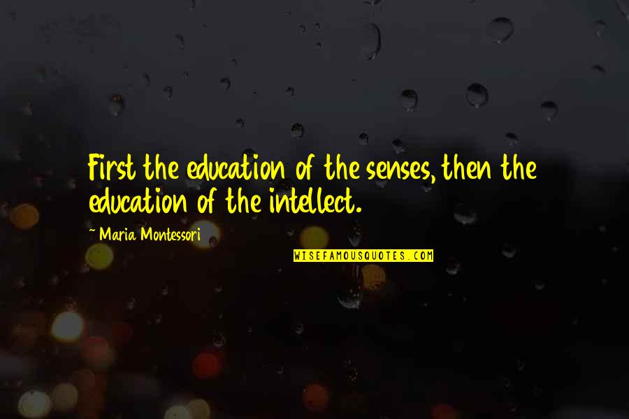 Jeffrey Bernard Quotes By Maria Montessori: First the education of the senses, then the Jeffrey Bernard Quotes By Maria Montessori: First the education of the senses, then the