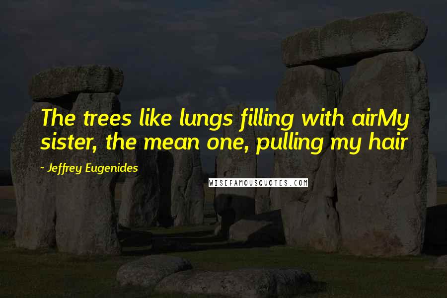 Jeffrey Eugenides quotes: The trees like lungs filling with airMy sister, the mean one, pulling my hair