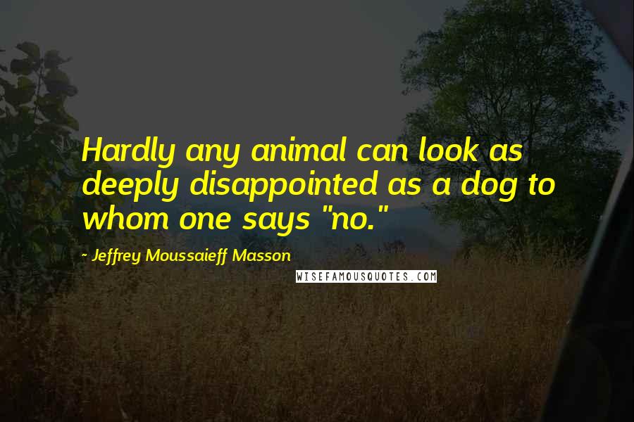 Jeffrey Moussaieff Masson quotes: Hardly any animal can look as deeply disappointed as a dog to whom one says "no." Jeffrey Moussaieff Masson quotes: Hardly any animal can look as deeply disappointed as a dog to whom one says "no."