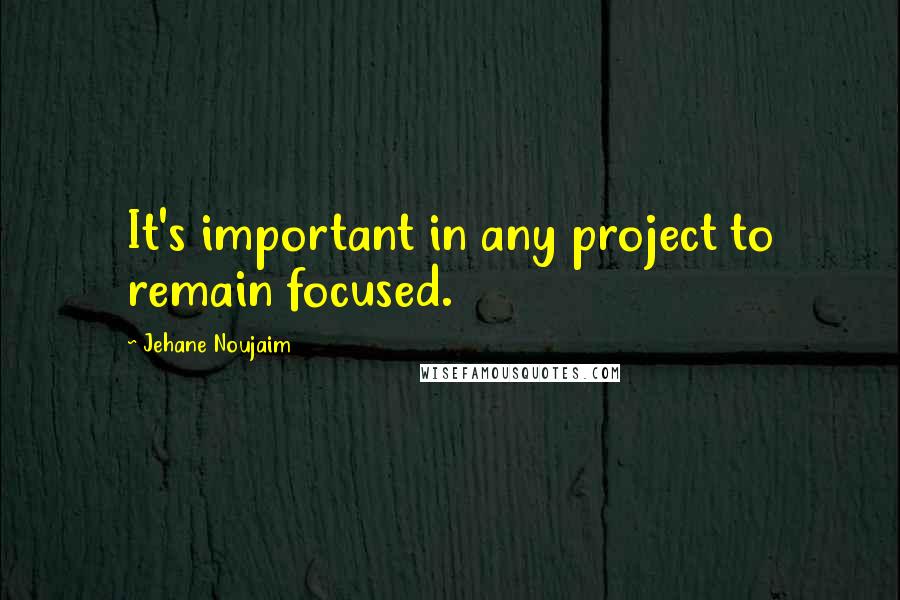 Jehane Noujaim quotes: It's important in any project to remain focused.
