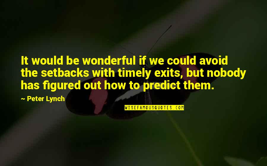 Jekabs Bine Kuldiga Quotes By Peter Lynch: It would be wonderful if we could avoid