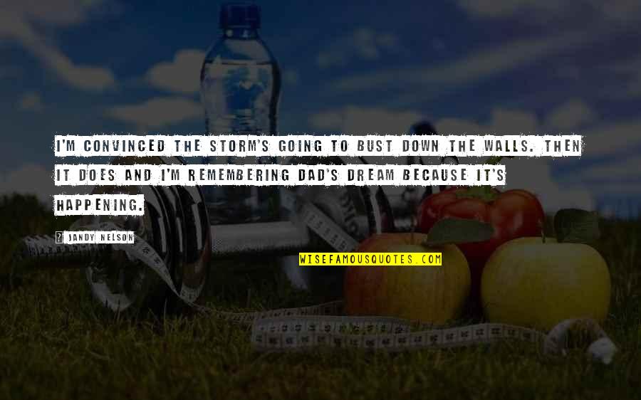 Jeleu Pentru Quotes By Jandy Nelson: I'm convinced the storm's going to bust down