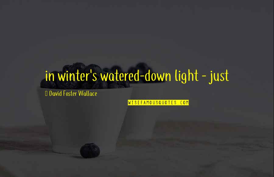 Jelincic Hisa Quotes By David Foster Wallace: in winter's watered-down light - just
