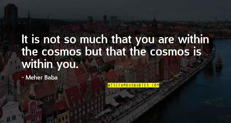 Jelled Ice Quotes By Meher Baba: It is not so much that you are