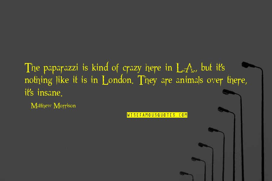 Jelly Tot Quotes By Matthew Morrison: The paparazzi is kind of crazy here in