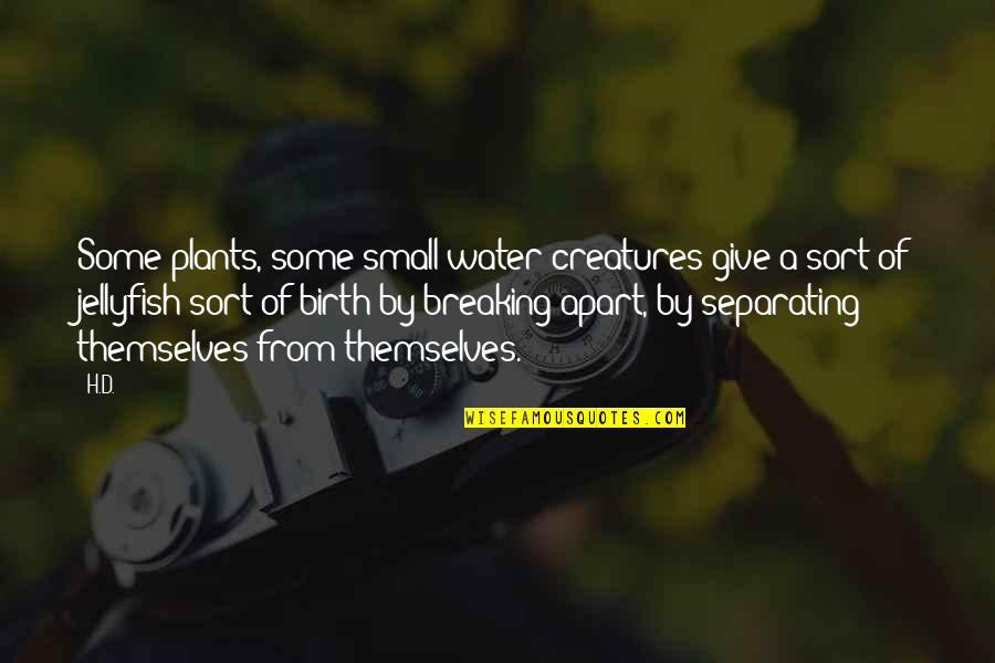 Jellyfish Quotes By H.D.: Some plants, some small water creatures give a Jellyfish Quotes By H.D.: Some plants, some small water creatures give a
