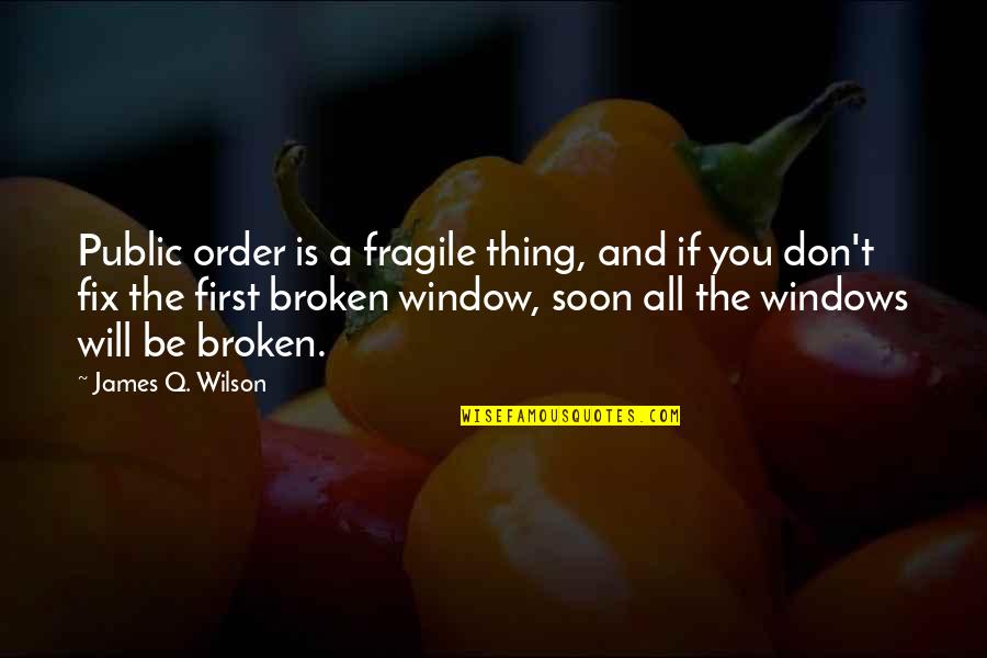 Jelmer Van Quotes By James Q. Wilson: Public order is a fragile thing, and if Jelmer Van Quotes By James Q. Wilson: Public order is a fragile thing, and if