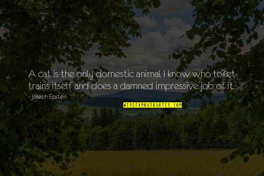 Jelmez Quotes By Joseph Epstein: A cat is the only domestic animal I Jelmez Quotes By Joseph Epstein: A cat is the only domestic animal I