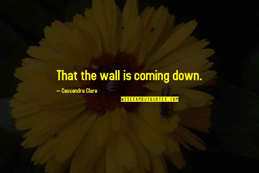Jem Carstairs Quotes By Cassandra Clare: That the wall is coming down.