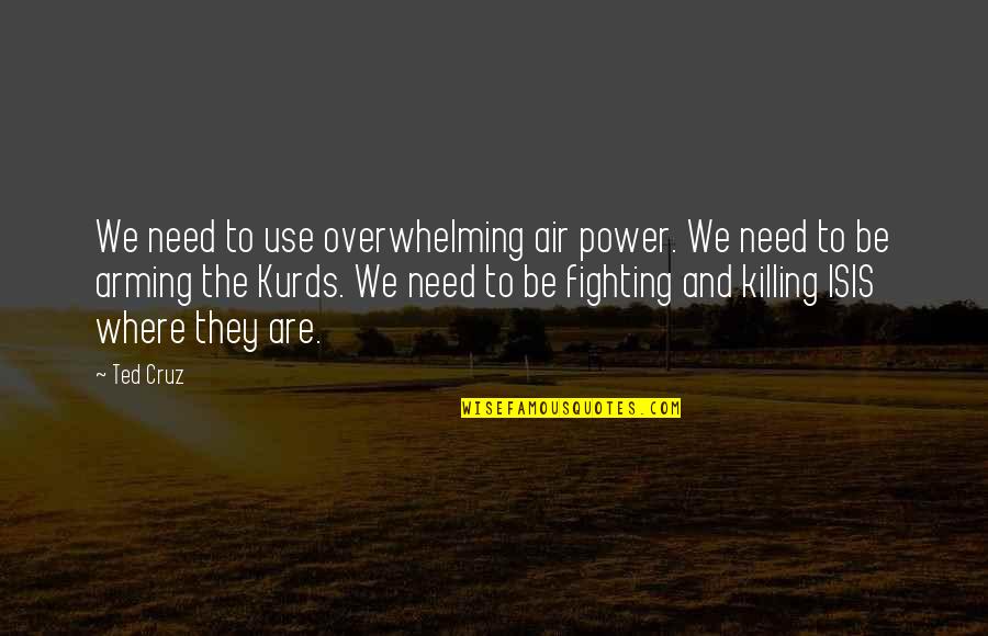 Jemand Seiner Quotes By Ted Cruz: We need to use overwhelming air power. We