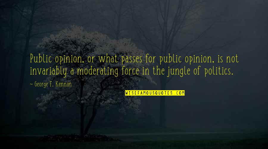 Jenko And Zook Quotes By George F. Kennan: Public opinion, or what passes for public opinion,